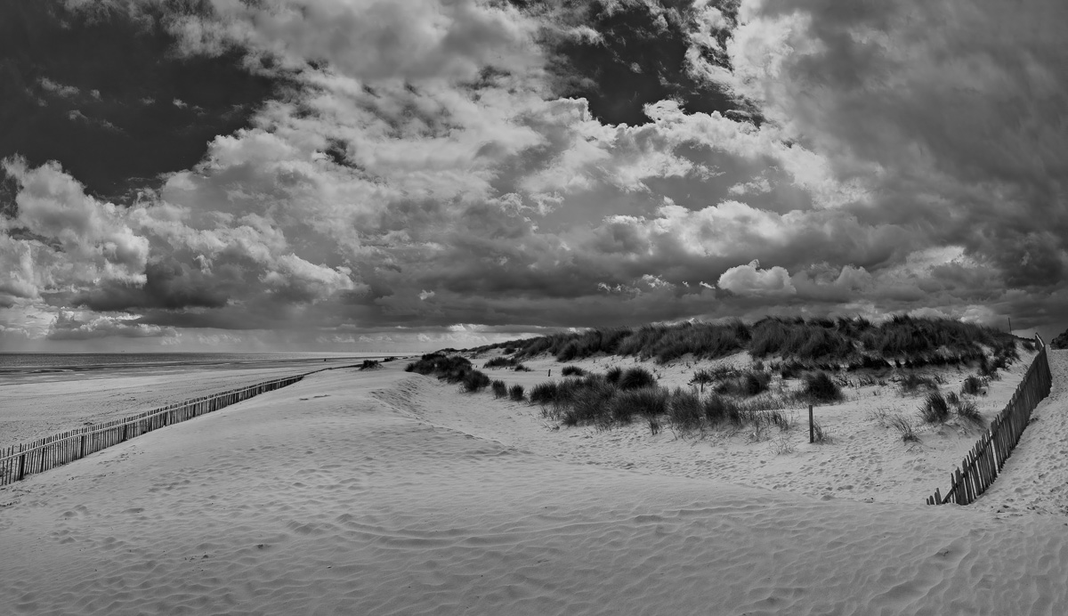 Stacks Image 91