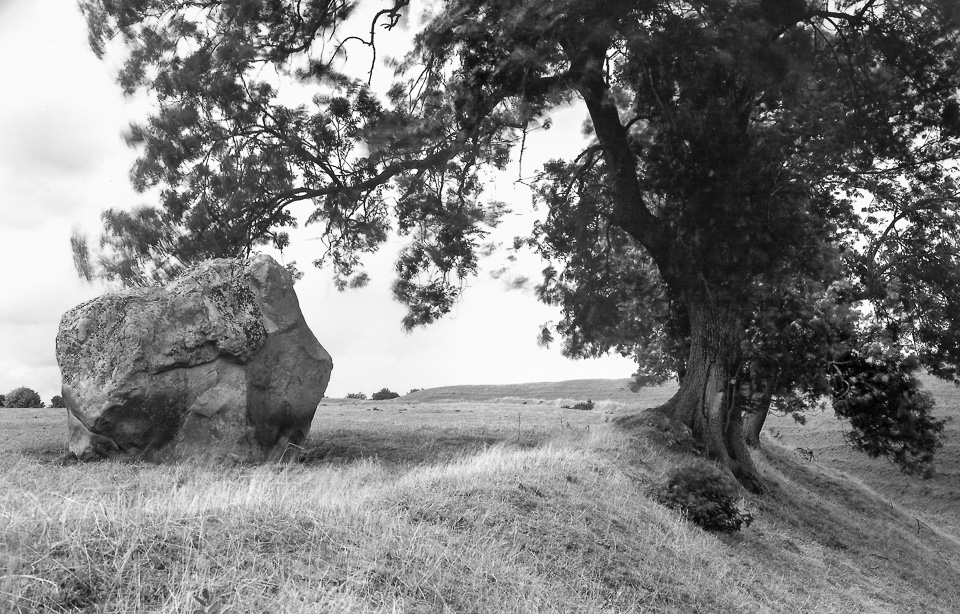 Stacks Image 11